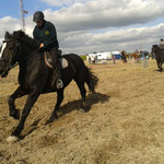 Le tour d'honneur au petit galop