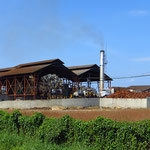 Palmöl-Raffinerie