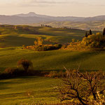 Val d'Orcia - San Quirico - Belvedere