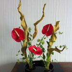 Free Style Anna De Carvalho