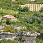 Dans les Causes du Minervois