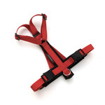 Brustkreuz-Geschirr: Gurtband: rot; Softshell: schwarz