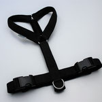 Führgeschirr Gurtband: Schwarz; AirMesh: Schwarz