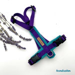 Katzen-Geschirr: Gurtband: Lila; Fleece: Petrol;
