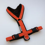 Führgeschirr mit Brustlatz Gurtband: Orange; Fleece: braun