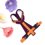 Brustkreuz-Geschirr KOMFORT GB: Orange; Polsterung: Softshell Berry