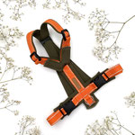 Brustkreuz-Geschirr KOMFORT GB: Reflex-orange; Polsterung: Softshell oliv