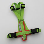 Katzen-Geschirr: Gurtband: Limone; Fleece: Neon-Orange