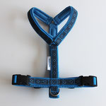 Führgeschirr: Gurtband: blau, Borte: Waldelf Diamant blau, AirMesh: blau