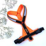 Führgeschirr Reflex GB: Reflex-Schwarz; Polsterung: Softshell Neonorange, geteilter Bauchsteg