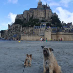 L'Oô et sa copine visitent le Mont Saint Michel / L'Oô und ihre Freundin besuchen den Mont Saint Michel