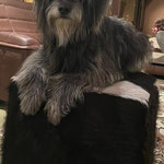 Grisette 14 ans/Jahre