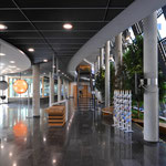 Solar Info Center Freiburg   Buschmann + Epp Center General Plan