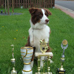 mit 11 Mon. "Best in Show " Geiselwind