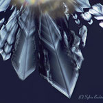 Bild: Xylit (Birkenzucker), Verdunstung, Stack am Mikroskop