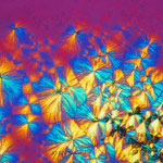 Bild: 1, Mikrokristall, Stevia, Verdunstung, POL, Lamda, Stack am Mikroskop