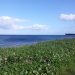Blick auf die Ostsee
