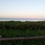 Blick auf die Ostsee