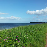 Blick auf die Ostsee