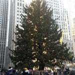 Weihnachtsbaum am Rockefeller