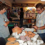 Marianne and Anita, the experts are talking