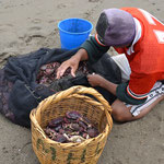 Pescador en Huanchaco