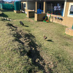 Südafrika, 2021: Montessori Pre-Primary School Coffee Bay (5)