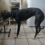 Era adoptée par Olivier C. (02)