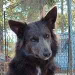 Vesa adoptée en Espagne
