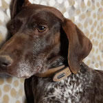 Tula adoptée dans les Bouches-du-Rhône