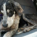 Tokio à son arrivée