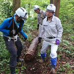 間伐後の玉切り材の搬送