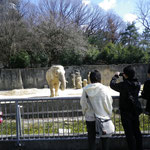 東山動物園　　２３年度３月卒業旅行