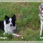 Magic/ am liebsten habe ich meine Ruhe