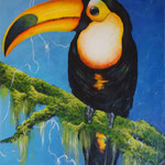 tucan   50 x 70cm