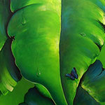 aurora   50 x 100cm