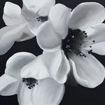 Baumblüten in Pastell auf Holz, 40x40 cm, Preis auf Anfrage