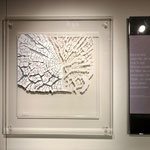 BAUMPOESIE 1 JAHR 2019 - VERKAUFT