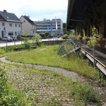 Biologische Station Rhein-Sieg-Kreis