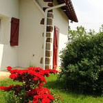 Iribarnia - jardin Pikondoa - 