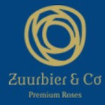 Zuurbier