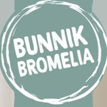 Bunnik Bromelia