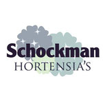 Schockman Hortensia's (De Kwakel)