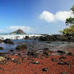 http://newsletter.kendiritasafaris.co.ke/april-newsletterbeautiful-hidden-beaches-2013-04-30/