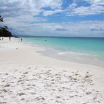 http://blog.thecheaproute.com/hyams-beach-whitest-sand-beach-in-the-world/