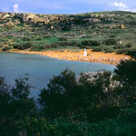 http://www.pardicourt.com/aboutgozo.html