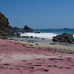 http://frimminjimbits.blogspot.jp/2012/04/purple-sands-of-pfeiffer-beach.html