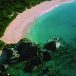 http://www.sharefb.com/the-pink-sands-beach-in-harbour-island.html