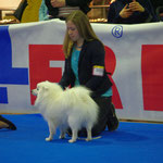 Luxemburg 2014