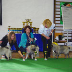 Mit Josie Posie (Wolfsspitz) im Ring (1.Platz!!!), Wangen an der Aare CH 2014